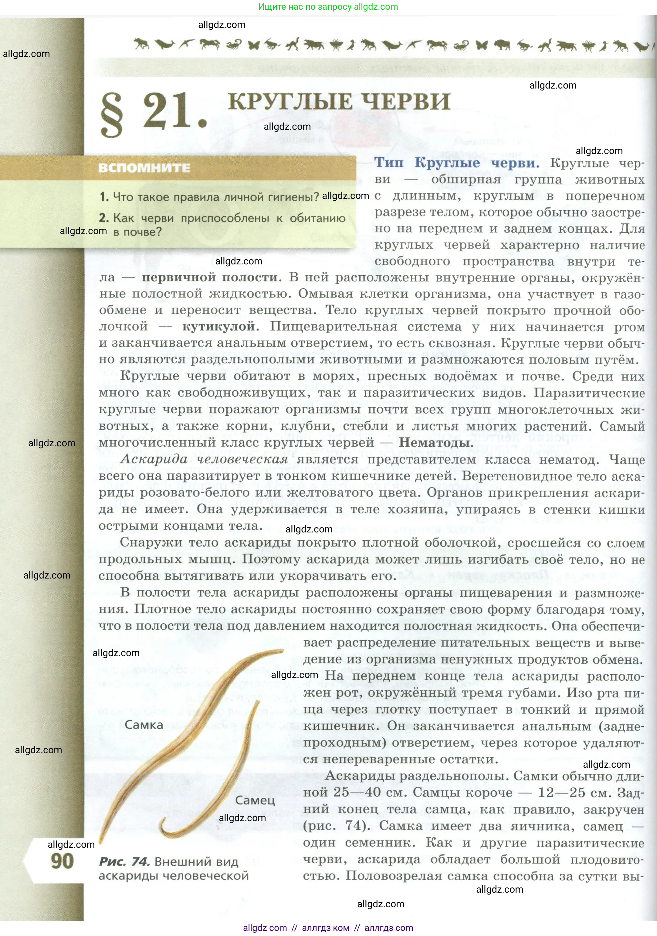 Биология, 8 класс Учебник, авторы: Пасечник Владимир Васильевич, Суматохин Сергей Витальевич, Гапонюк Зоя Георгиевна, издательство Просвещение, Москва, 2023, белого цвета, страница 90