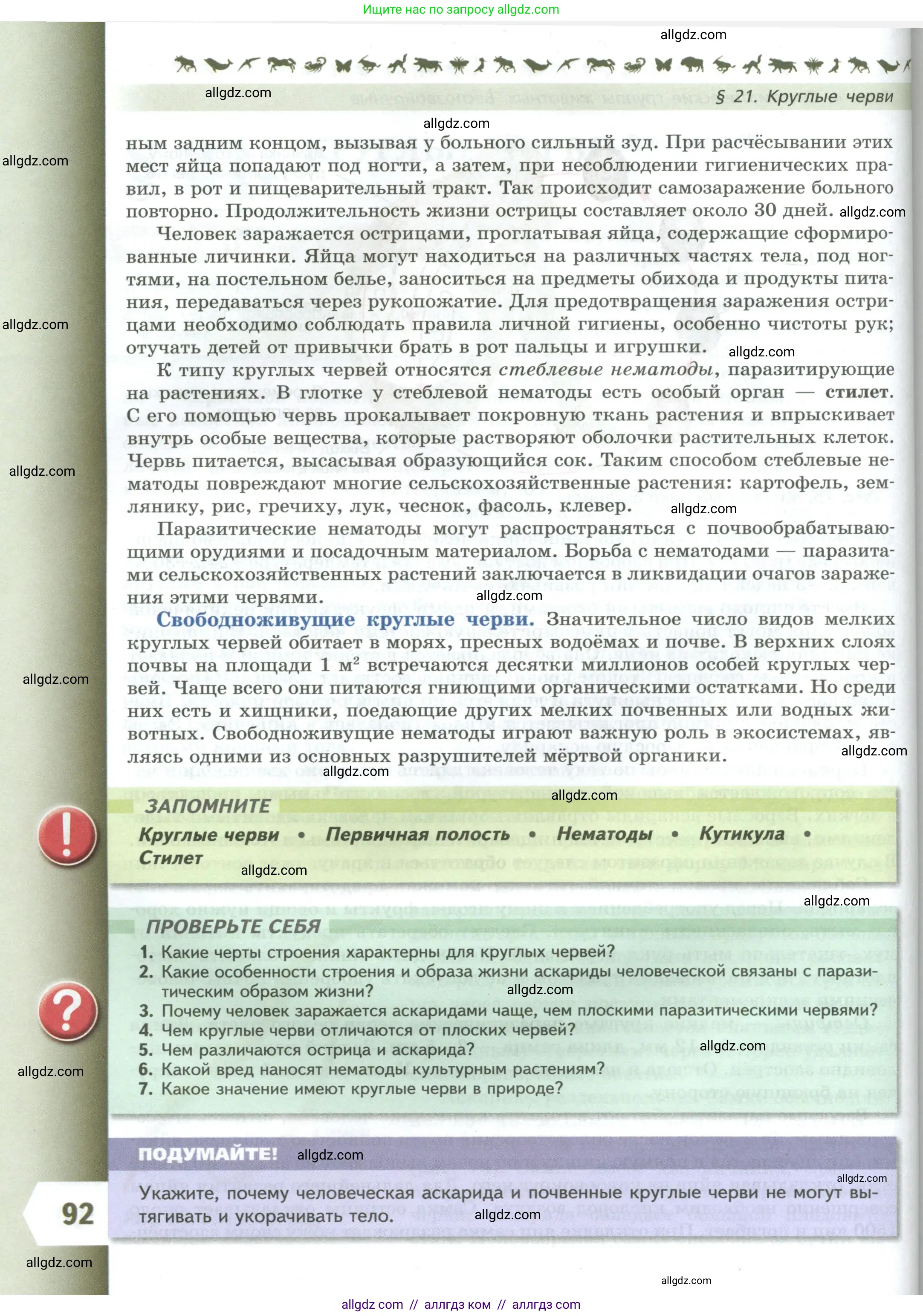 Биология, 8 класс Учебник, авторы: Пасечник Владимир Васильевич, Суматохин Сергей Витальевич, Гапонюк Зоя Георгиевна, издательство Просвещение, Москва, 2023, белого цвета, страница 92