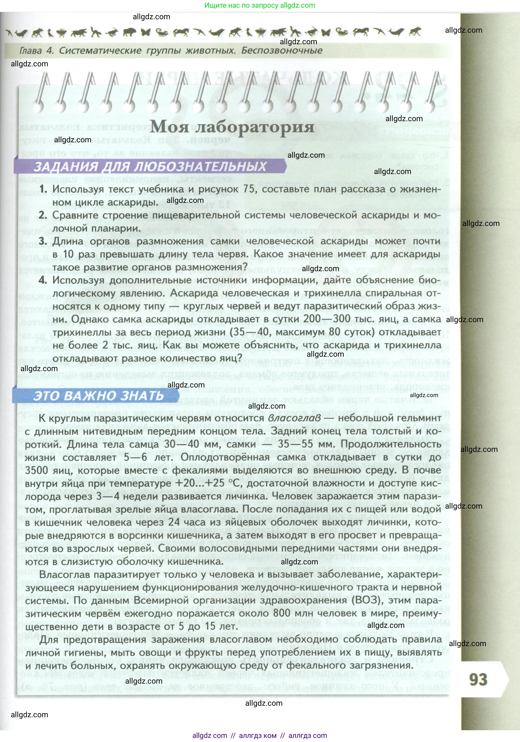 Биология, 8 класс Учебник, авторы: Пасечник Владимир Васильевич, Суматохин Сергей Витальевич, Гапонюк Зоя Георгиевна, издательство Просвещение, Москва, 2023, белого цвета, страница 93