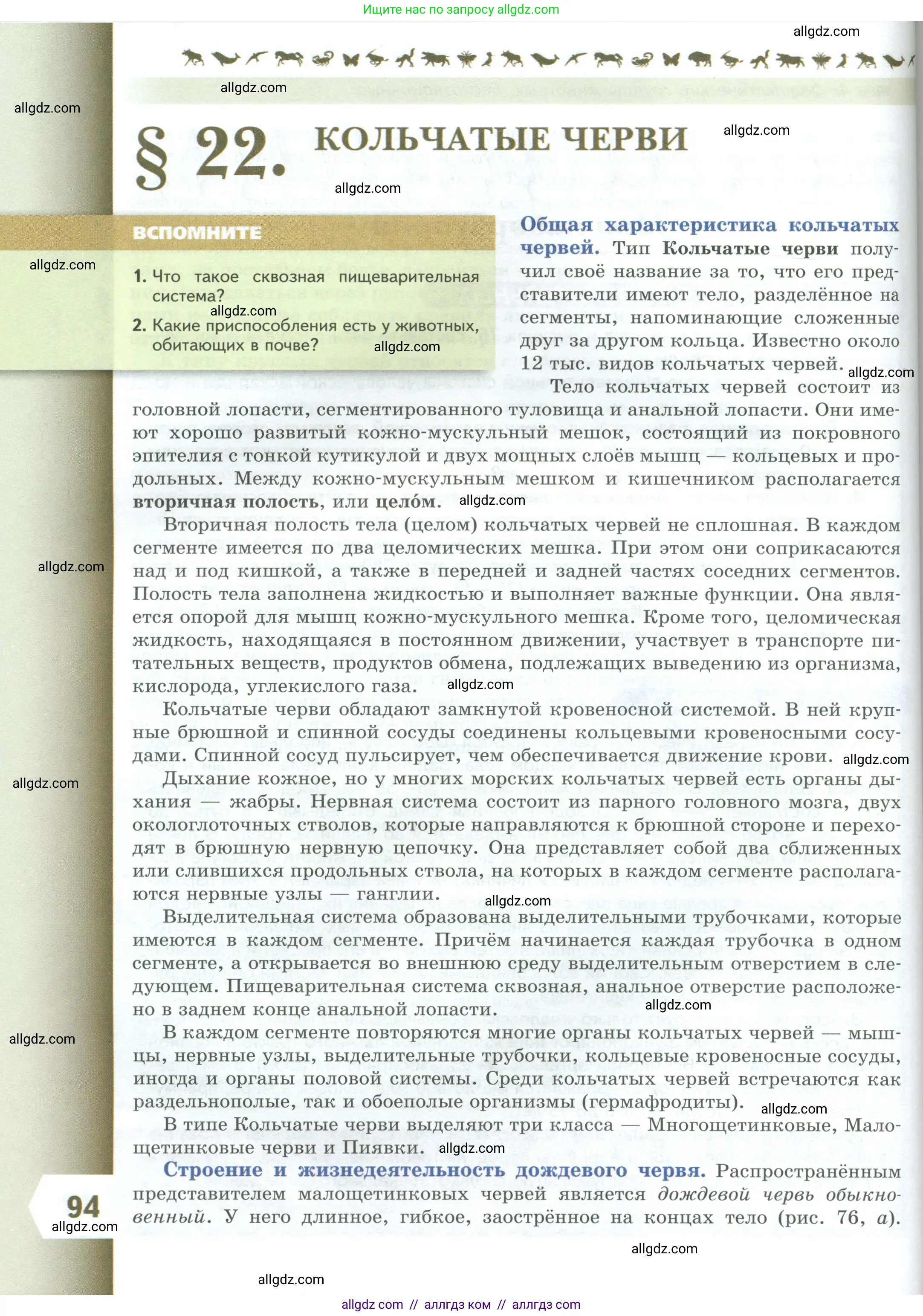 Биология, 8 класс Учебник, авторы: Пасечник Владимир Васильевич, Суматохин Сергей Витальевич, Гапонюк Зоя Георгиевна, издательство Просвещение, Москва, 2023, белого цвета, страница 94
