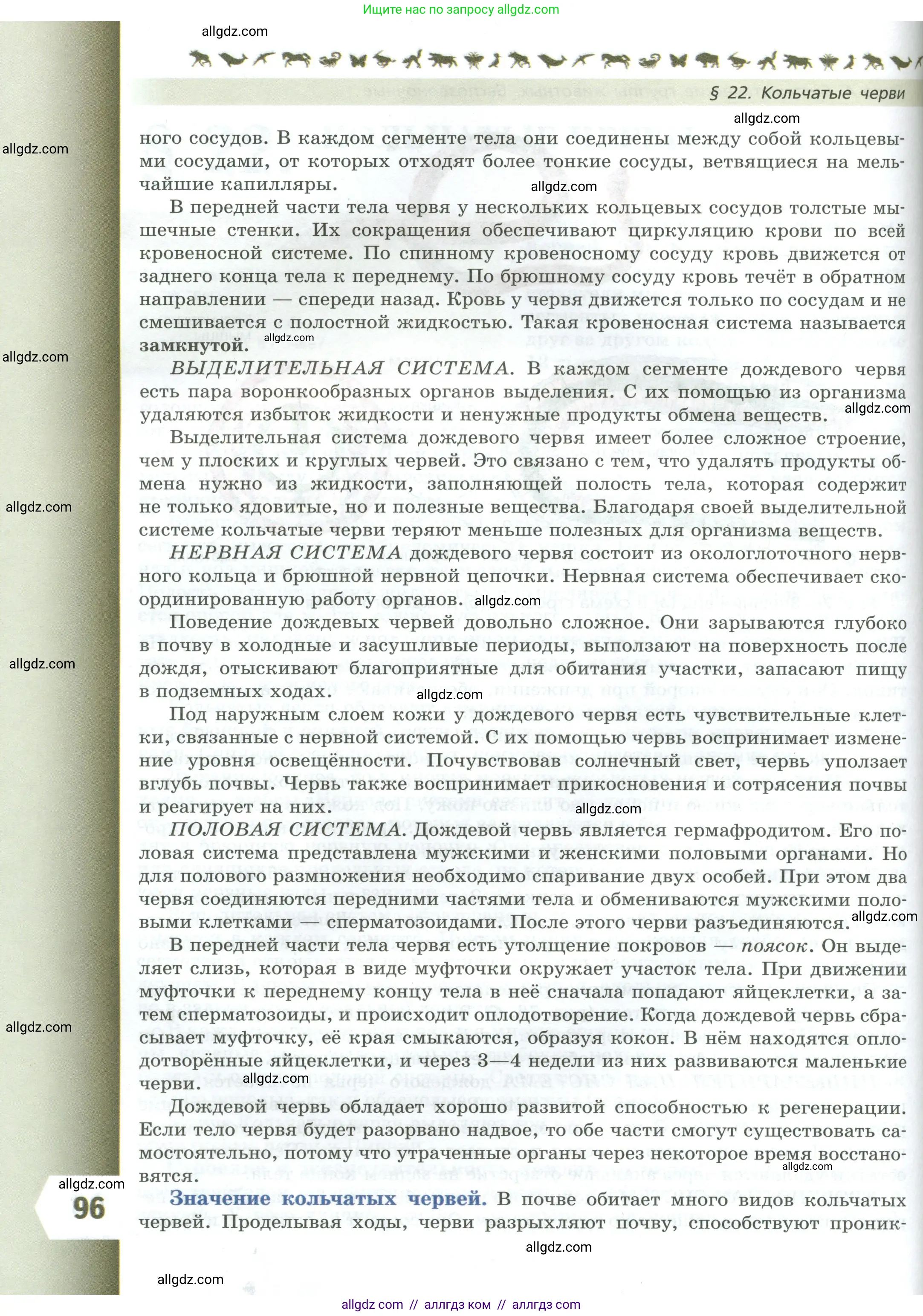 Биология, 8 класс Учебник, авторы: Пасечник Владимир Васильевич, Суматохин Сергей Витальевич, Гапонюк Зоя Георгиевна, издательство Просвещение, Москва, 2023, белого цвета, страница 96