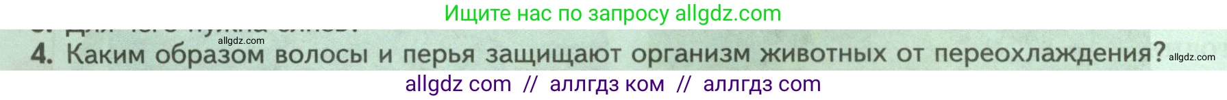 Биология, 8 класс Учебник, авторы: Пасечник Владимир Васильевич, Суматохин Сергей Витальевич, Гапонюк Зоя Георгиевна, издательство Просвещение, Москва, 2023, белого цвета, страница 40, номер 4, Условие
