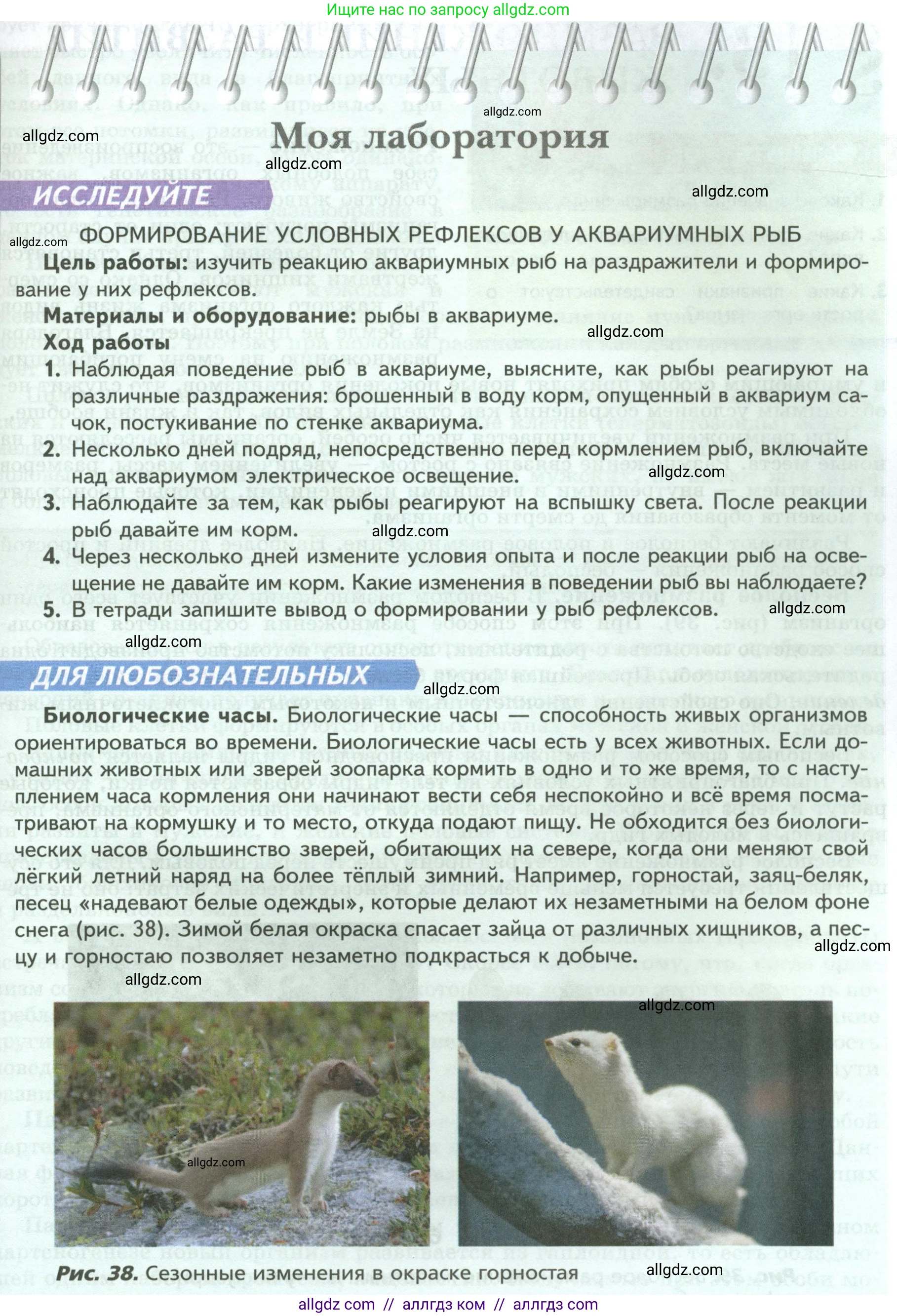Биология, 8 класс Учебник, авторы: Пасечник Владимир Васильевич, Суматохин Сергей Витальевич, Гапонюк Зоя Георгиевна, издательство Просвещение, Москва, 2023, белого цвета, страница 49, Условие