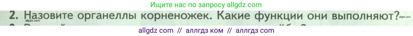 Биология, 8 класс Учебник, авторы: Пасечник Владимир Васильевич, Суматохин Сергей Витальевич, Гапонюк Зоя Георгиевна, издательство Просвещение, Москва, 2023, белого цвета, страница 65, номер 2, Условие
