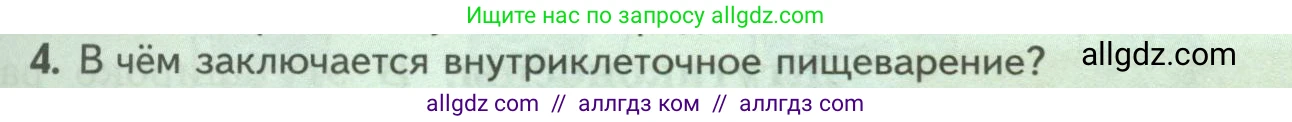 Биология, 8 класс Учебник, авторы: Пасечник Владимир Васильевич, Суматохин Сергей Витальевич, Гапонюк Зоя Георгиевна, издательство Просвещение, Москва, 2023, белого цвета, страница 65, номер 4, Условие