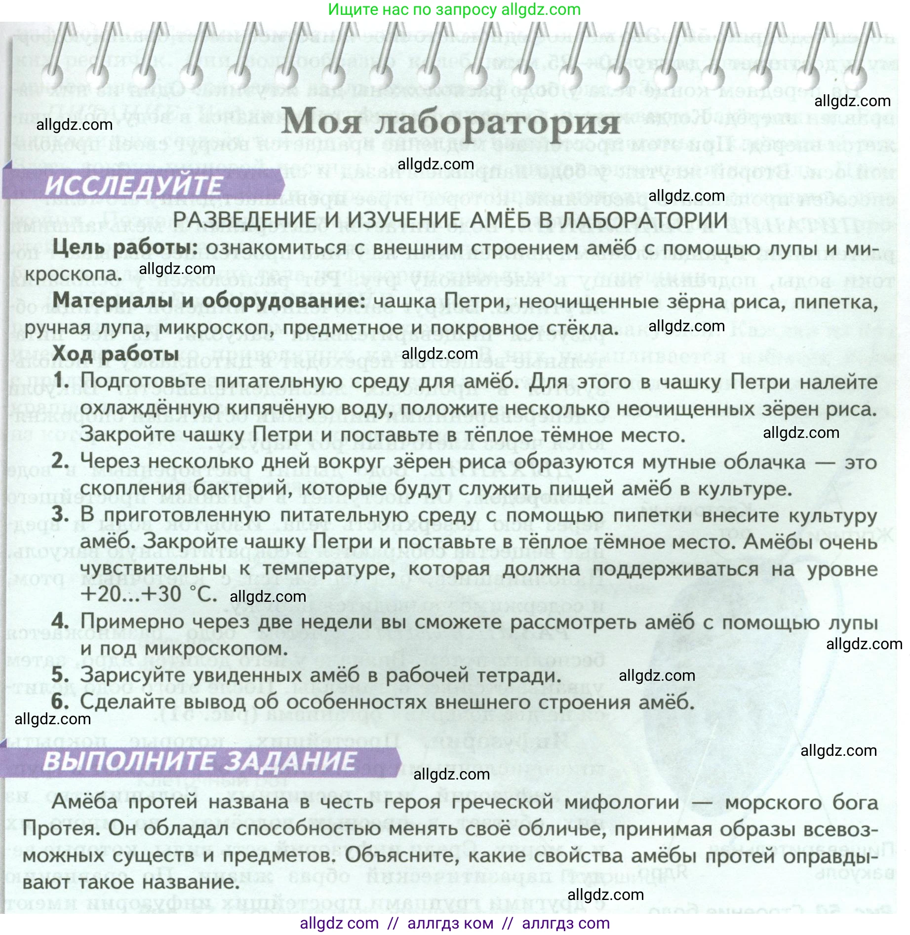 Биология, 8 класс Учебник, авторы: Пасечник Владимир Васильевич, Суматохин Сергей Витальевич, Гапонюк Зоя Георгиевна, издательство Просвещение, Москва, 2023, белого цвета, страница 65, Условие