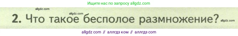 Биология, 8 класс Учебник, авторы: Пасечник Владимир Васильевич, Суматохин Сергей Витальевич, Гапонюк Зоя Георгиевна, издательство Просвещение, Москва, 2023, белого цвета, страница 66, номер 2, Условие