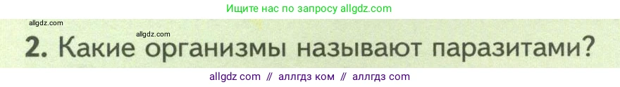 Биология, 8 класс Учебник, авторы: Пасечник Владимир Васильевич, Суматохин Сергей Витальевич, Гапонюк Зоя Георгиевна, издательство Просвещение, Москва, 2023, белого цвета, страница 70, номер 2, Условие