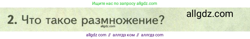 Биология, 8 класс Учебник, авторы: Пасечник Владимир Васильевич, Суматохин Сергей Витальевич, Гапонюк Зоя Георгиевна, издательство Просвещение, Москва, 2023, белого цвета, страница 78, номер 2, Условие