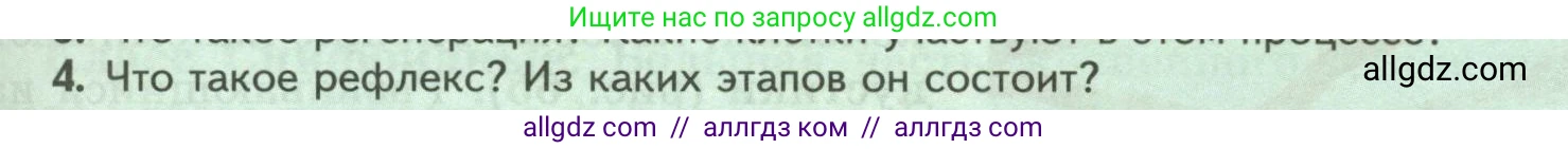 Биология, 8 класс Учебник, авторы: Пасечник Владимир Васильевич, Суматохин Сергей Витальевич, Гапонюк Зоя Георгиевна, издательство Просвещение, Москва, 2023, белого цвета, страница 81, номер 4, Условие