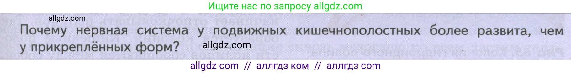 Биология, 8 класс Учебник, авторы: Пасечник Владимир Васильевич, Суматохин Сергей Витальевич, Гапонюк Зоя Георгиевна, издательство Просвещение, Москва, 2023, белого цвета, страница 81, Условие