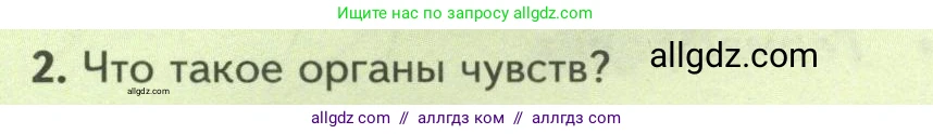 Биология, 8 класс Учебник, авторы: Пасечник Владимир Васильевич, Суматохин Сергей Витальевич, Гапонюк Зоя Георгиевна, издательство Просвещение, Москва, 2023, белого цвета, страница 82, номер 2, Условие