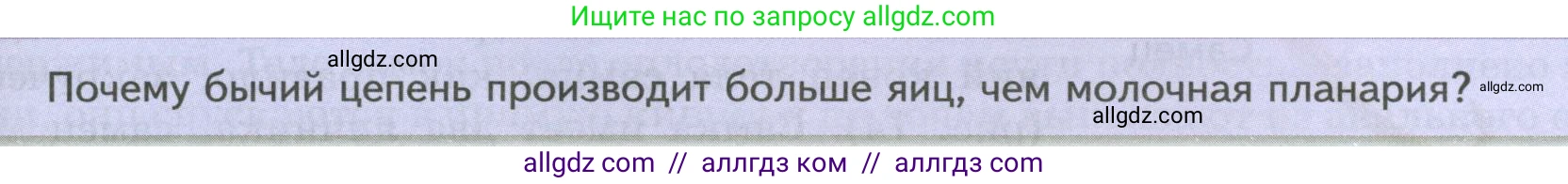 Биология, 8 класс Учебник, авторы: Пасечник Владимир Васильевич, Суматохин Сергей Витальевич, Гапонюк Зоя Георгиевна, издательство Просвещение, Москва, 2023, белого цвета, страница 89, Условие