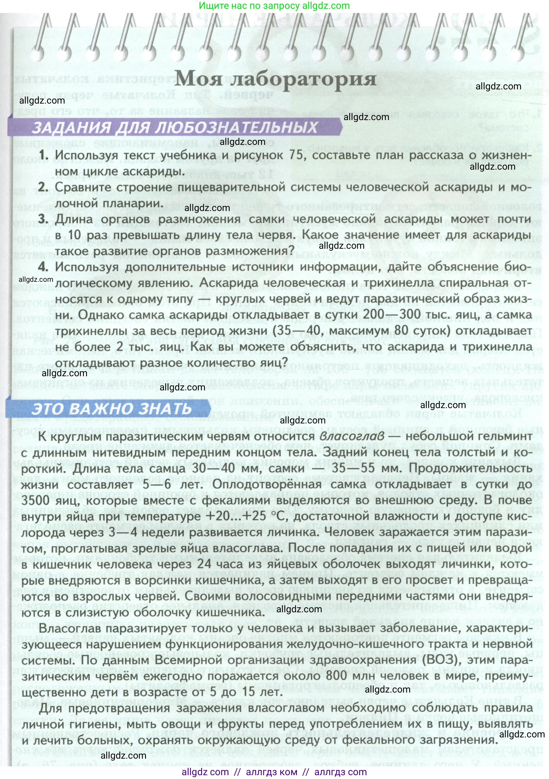 Биология, 8 класс Учебник, авторы: Пасечник Владимир Васильевич, Суматохин Сергей Витальевич, Гапонюк Зоя Георгиевна, издательство Просвещение, Москва, 2023, белого цвета, страница 93, Условие