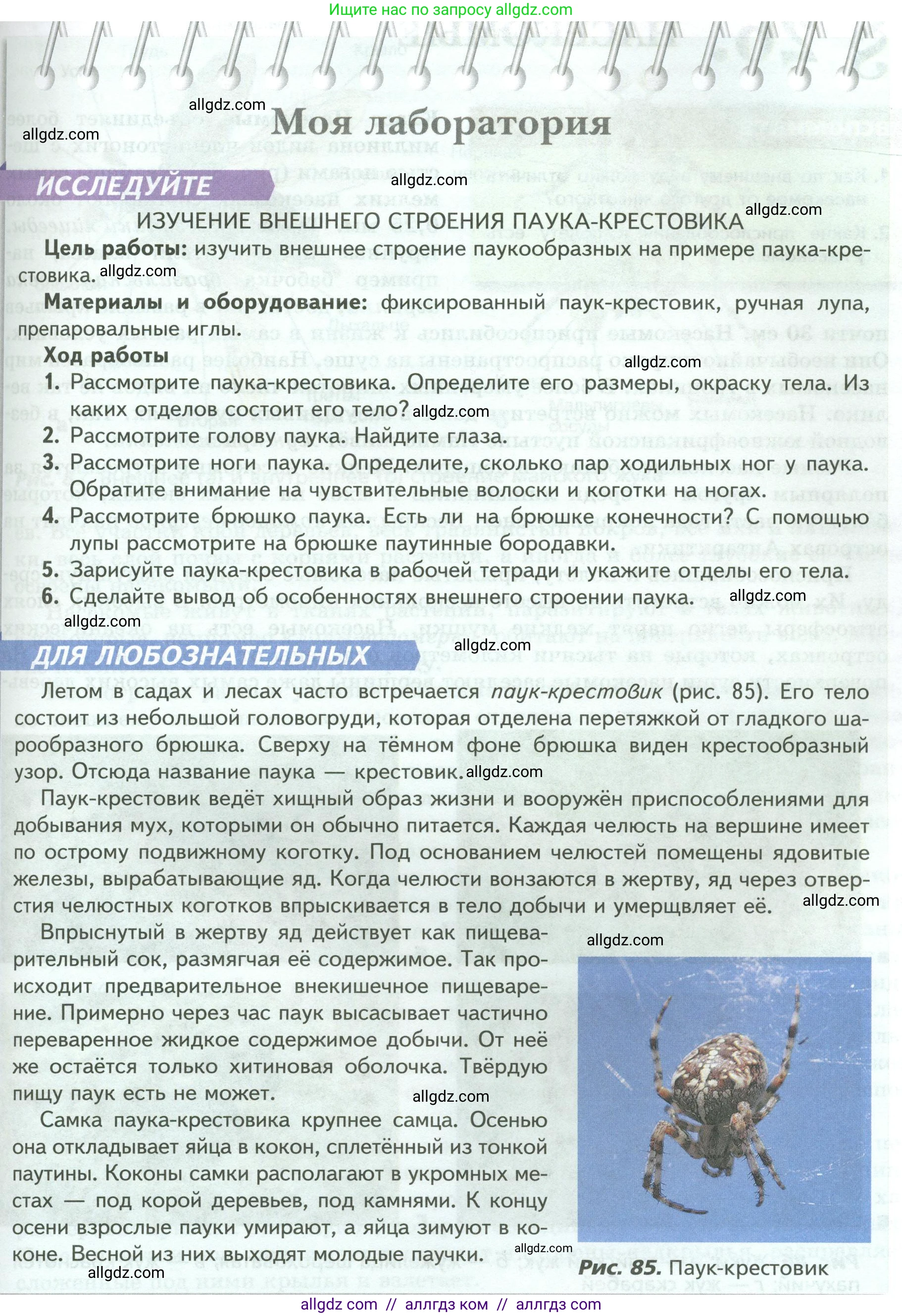 Биология, 8 класс Учебник, авторы: Пасечник Владимир Васильевич, Суматохин Сергей Витальевич, Гапонюк Зоя Георгиевна, издательство Просвещение, Москва, 2023, белого цвета, страница 111, Условие