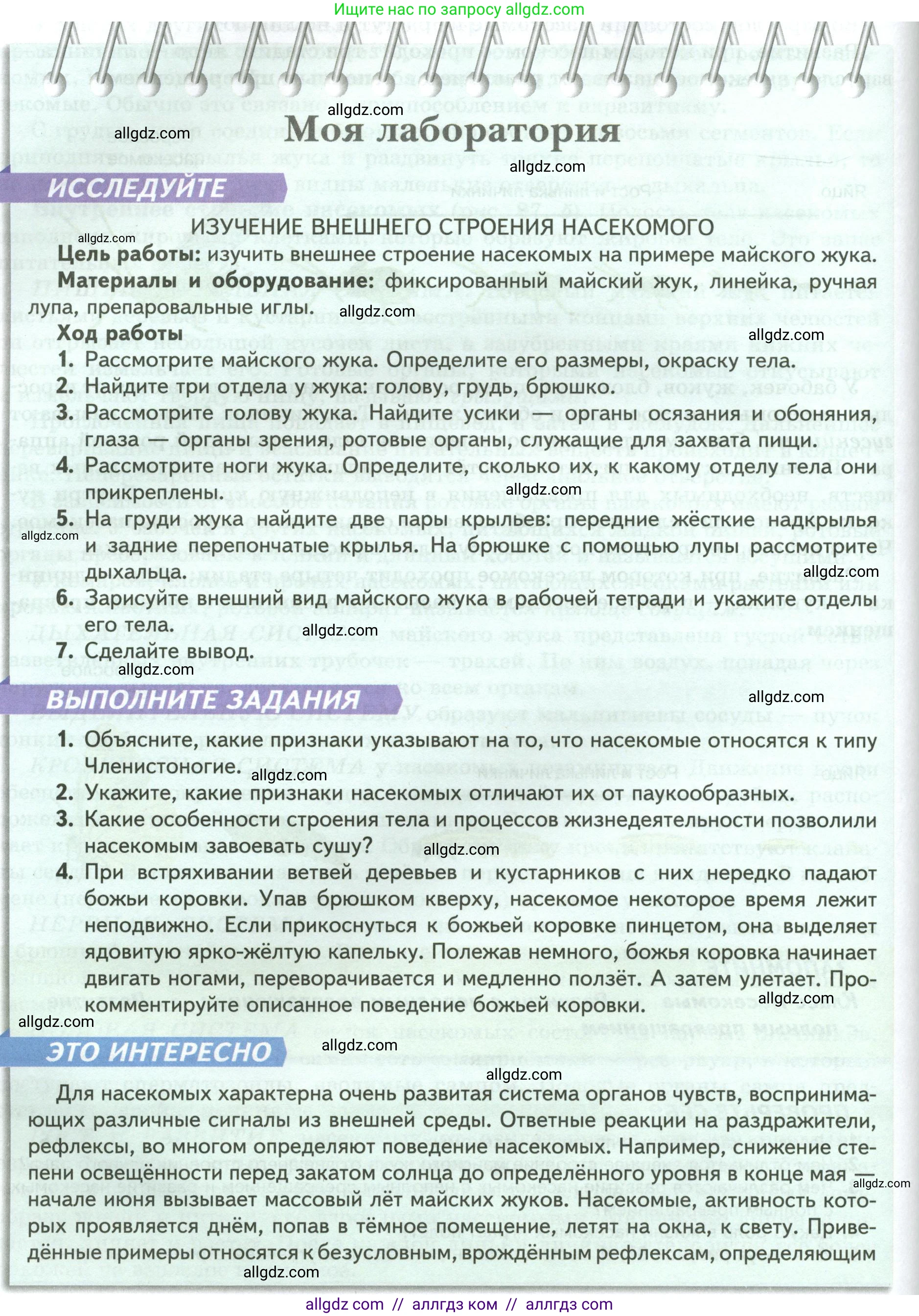 Биология, 8 класс Учебник, авторы: Пасечник Владимир Васильевич, Суматохин Сергей Витальевич, Гапонюк Зоя Георгиевна, издательство Просвещение, Москва, 2023, белого цвета, страница 116, Условие