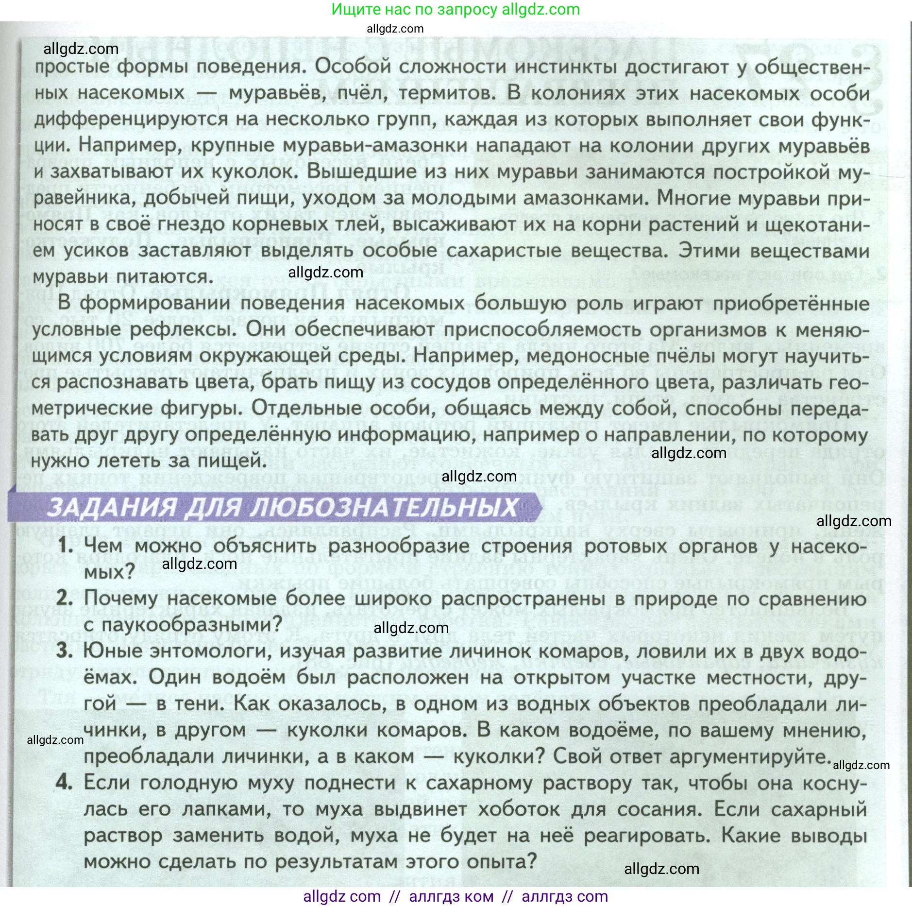 Биология, 8 класс Учебник, авторы: Пасечник Владимир Васильевич, Суматохин Сергей Витальевич, Гапонюк Зоя Георгиевна, издательство Просвещение, Москва, 2023, белого цвета, страница 116, Условие (продолжение 2)