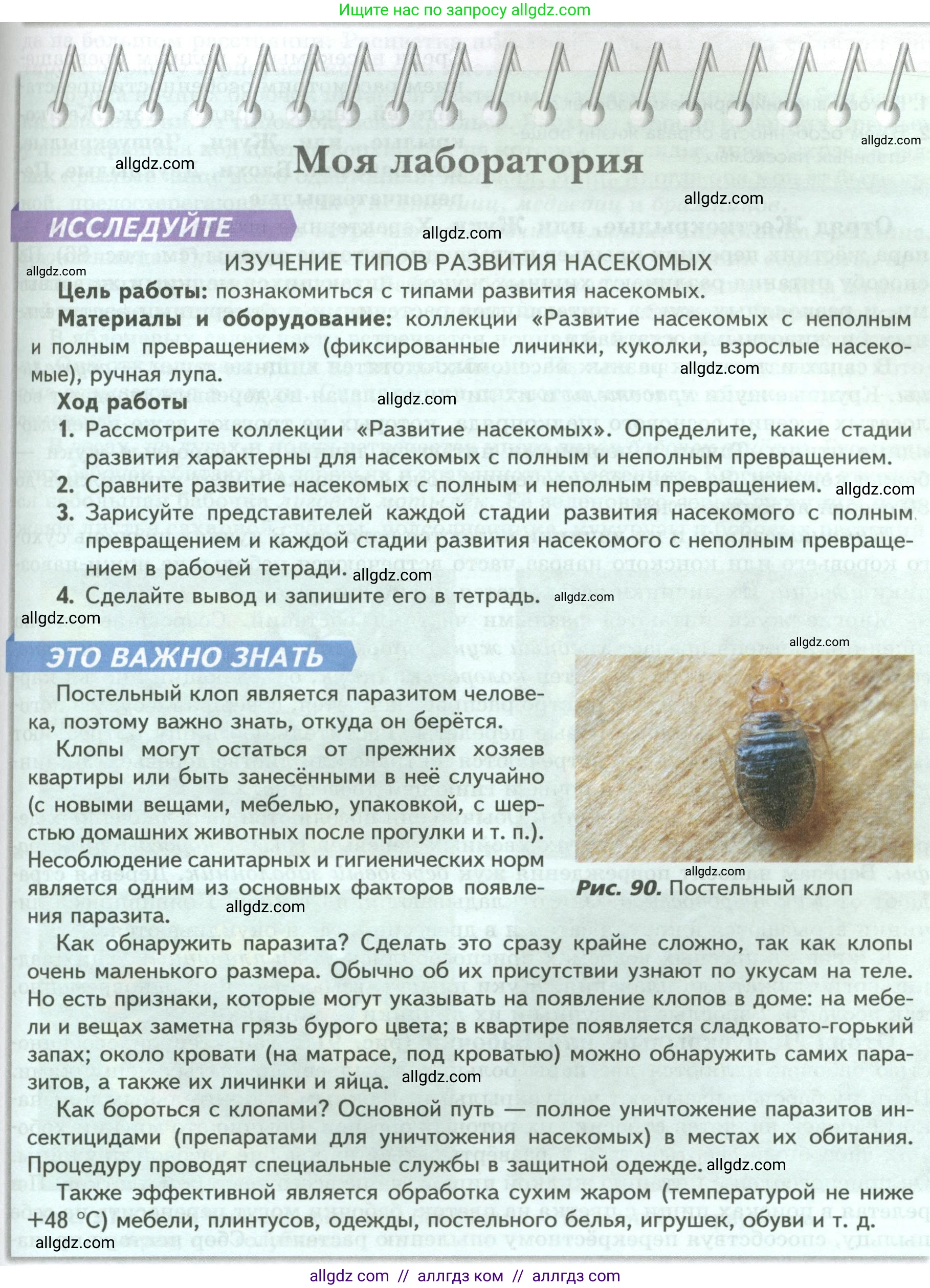 Биология, 8 класс Учебник, авторы: Пасечник Владимир Васильевич, Суматохин Сергей Витальевич, Гапонюк Зоя Георгиевна, издательство Просвещение, Москва, 2023, белого цвета, страница 121, Условие
