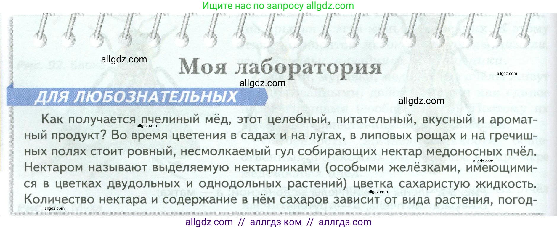 Биология, 8 класс Учебник, авторы: Пасечник Владимир Васильевич, Суматохин Сергей Витальевич, Гапонюк Зоя Георгиевна, издательство Просвещение, Москва, 2023, белого цвета, страница 126, Условие