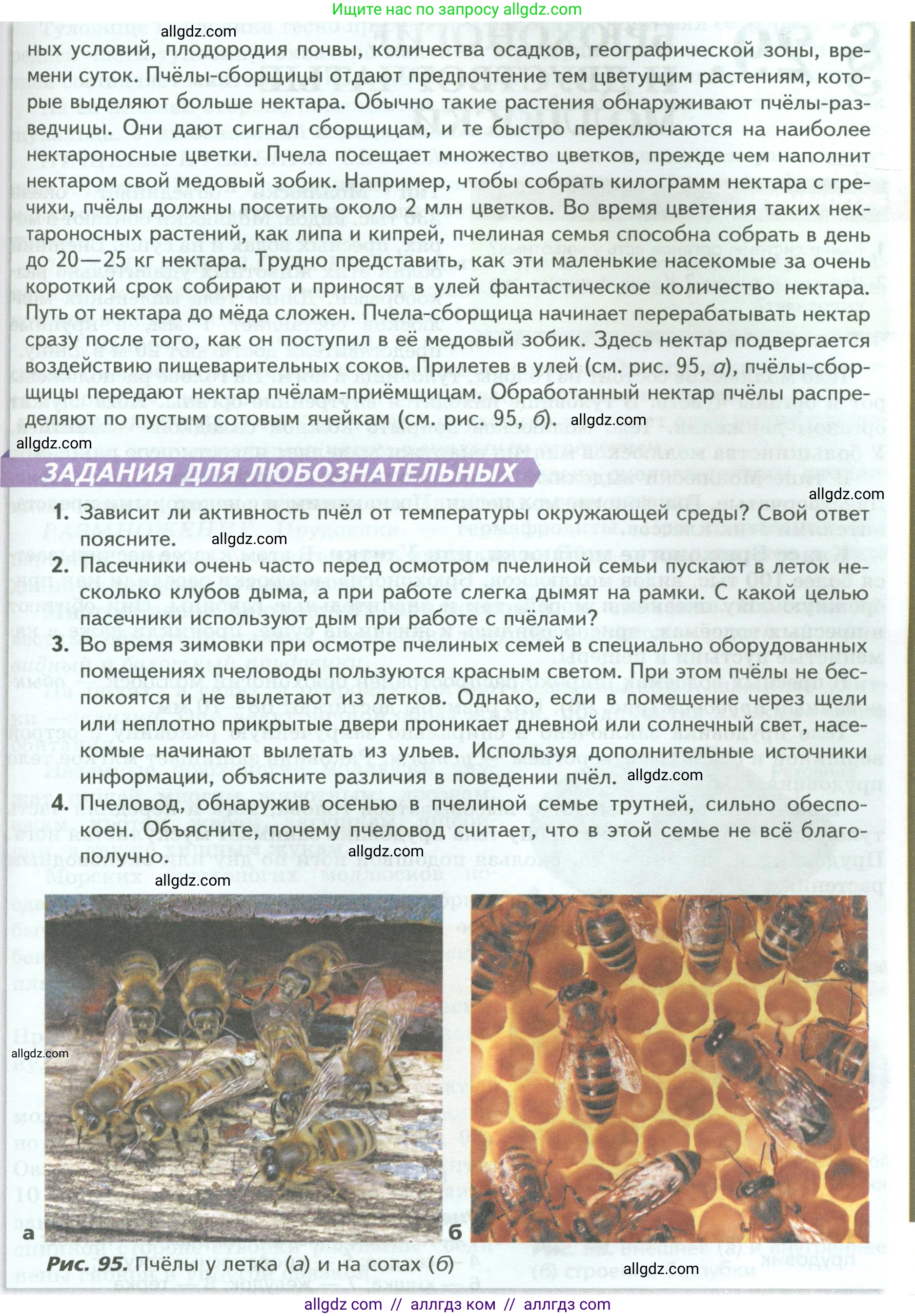 Биология, 8 класс Учебник, авторы: Пасечник Владимир Васильевич, Суматохин Сергей Витальевич, Гапонюк Зоя Георгиевна, издательство Просвещение, Москва, 2023, белого цвета, страница 126, Условие (продолжение 2)