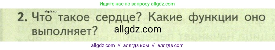 Биология, 8 класс Учебник, авторы: Пасечник Владимир Васильевич, Суматохин Сергей Витальевич, Гапонюк Зоя Георгиевна, издательство Просвещение, Москва, 2023, белого цвета, страница 128, номер 2, Условие