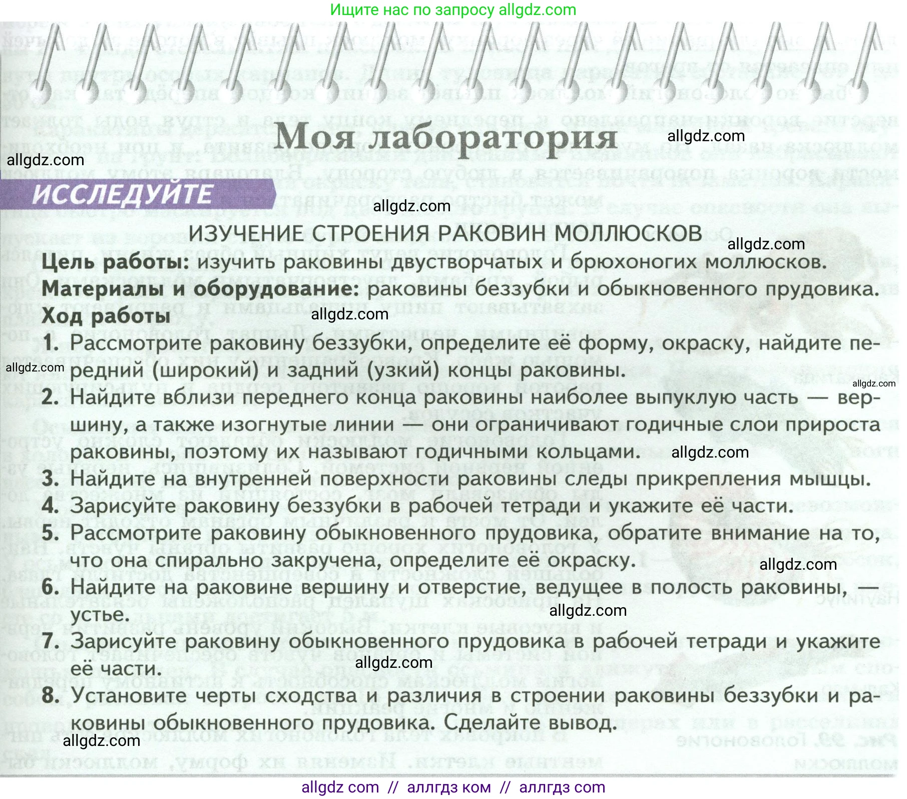 Биология, 8 класс Учебник, авторы: Пасечник Владимир Васильевич, Суматохин Сергей Витальевич, Гапонюк Зоя Георгиевна, издательство Просвещение, Москва, 2023, белого цвета, страница 131, Условие