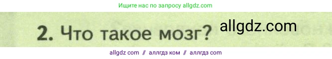 Биология, 8 класс Учебник, авторы: Пасечник Владимир Васильевич, Суматохин Сергей Витальевич, Гапонюк Зоя Георгиевна, издательство Просвещение, Москва, 2023, белого цвета, страница 132, номер 2, Условие