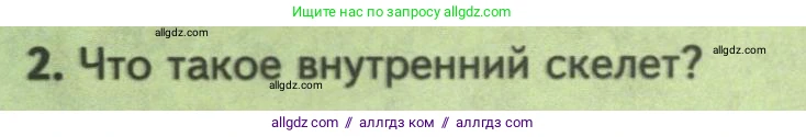 Биология, 8 класс Учебник, авторы: Пасечник Владимир Васильевич, Суматохин Сергей Витальевич, Гапонюк Зоя Георгиевна, издательство Просвещение, Москва, 2023, белого цвета, страница 140, номер 2, Условие