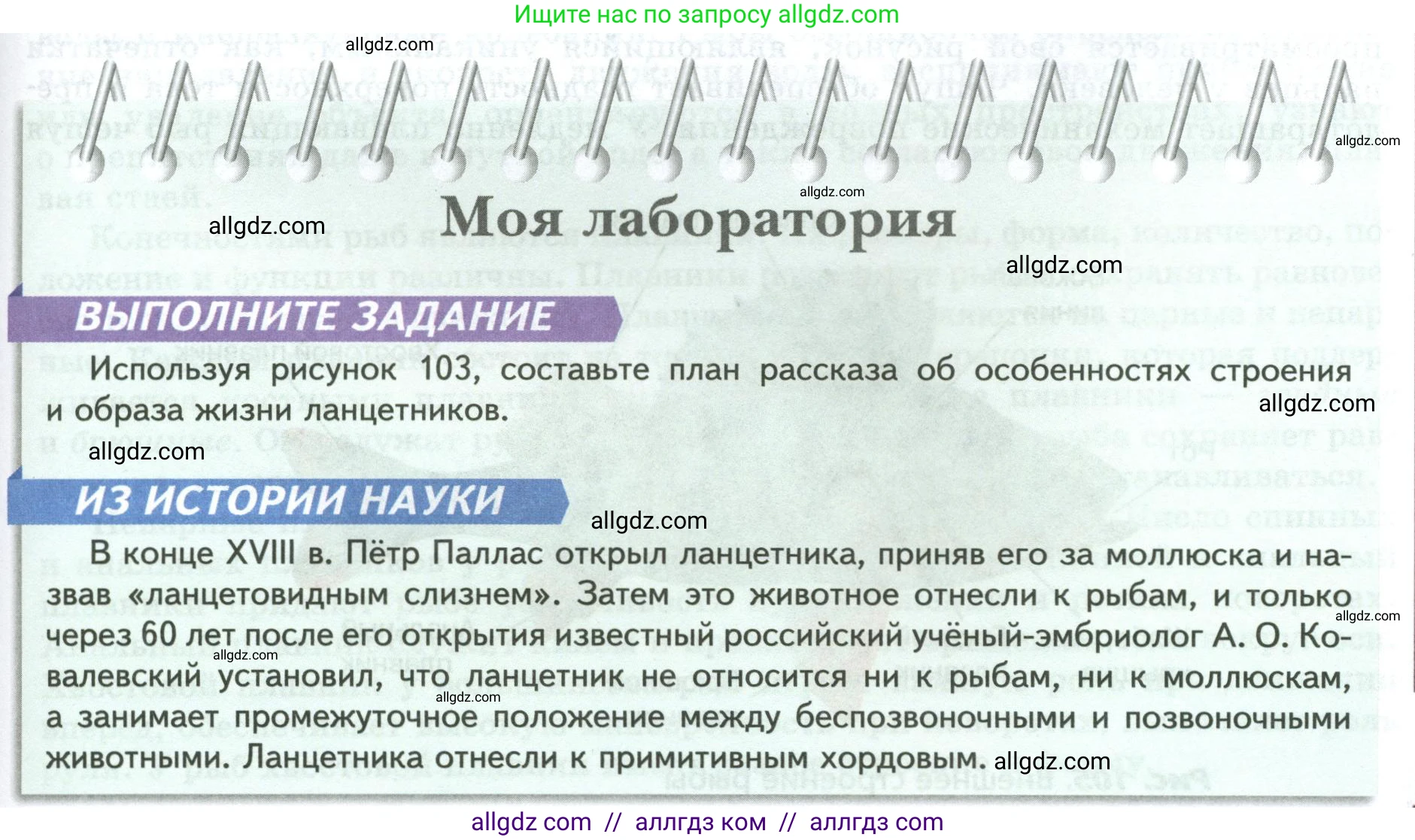 Биология, 8 класс Учебник, авторы: Пасечник Владимир Васильевич, Суматохин Сергей Витальевич, Гапонюк Зоя Георгиевна, издательство Просвещение, Москва, 2023, белого цвета, страница 143, Условие