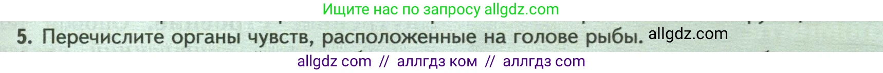 Биология, 8 класс Учебник, авторы: Пасечник Владимир Васильевич, Суматохин Сергей Витальевич, Гапонюк Зоя Георгиевна, издательство Просвещение, Москва, 2023, белого цвета, страница 147, номер 5, Условие