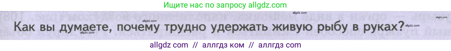 Биология, 8 класс Учебник, авторы: Пасечник Владимир Васильевич, Суматохин Сергей Витальевич, Гапонюк Зоя Георгиевна, издательство Просвещение, Москва, 2023, белого цвета, страница 147, Условие