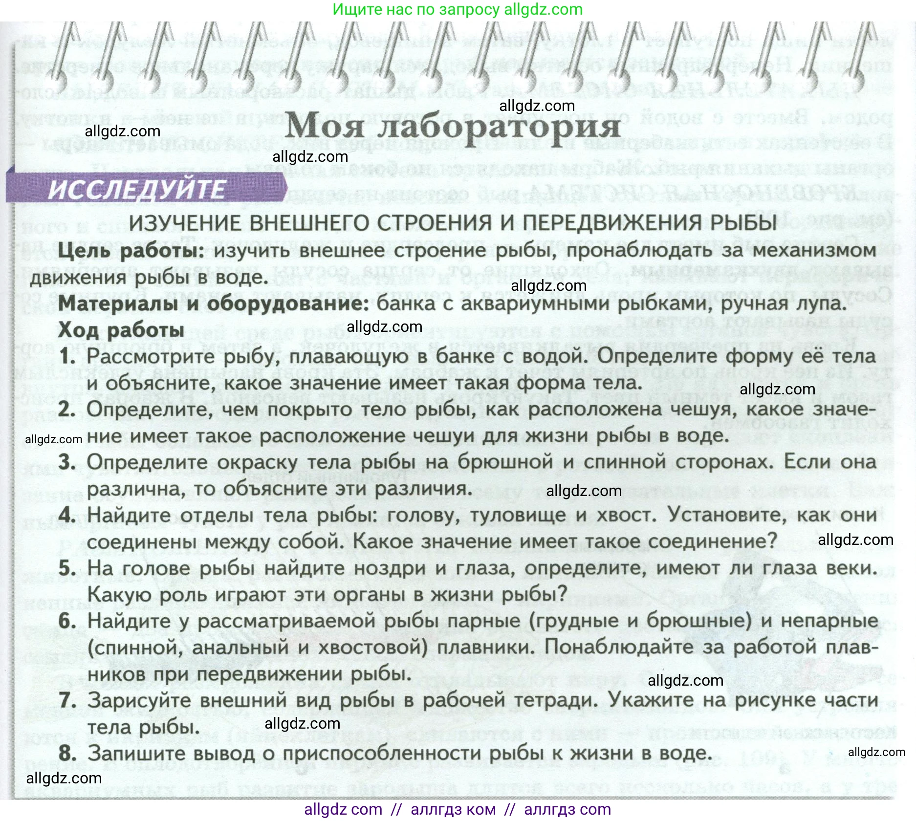 Биология, 8 класс Учебник, авторы: Пасечник Владимир Васильевич, Суматохин Сергей Витальевич, Гапонюк Зоя Георгиевна, издательство Просвещение, Москва, 2023, белого цвета, страница 147, Условие
