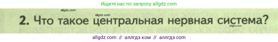 Биология, 8 класс Учебник, авторы: Пасечник Владимир Васильевич, Суматохин Сергей Витальевич, Гапонюк Зоя Георгиевна, издательство Просвещение, Москва, 2023, белого цвета, страница 148, номер 2, Условие