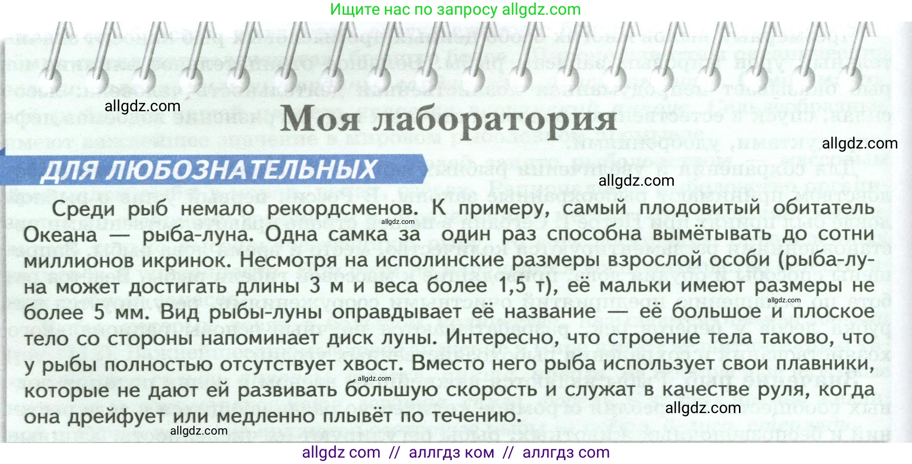 Биология, 8 класс Учебник, авторы: Пасечник Владимир Васильевич, Суматохин Сергей Витальевич, Гапонюк Зоя Георгиевна, издательство Просвещение, Москва, 2023, белого цвета, страница 158, Условие