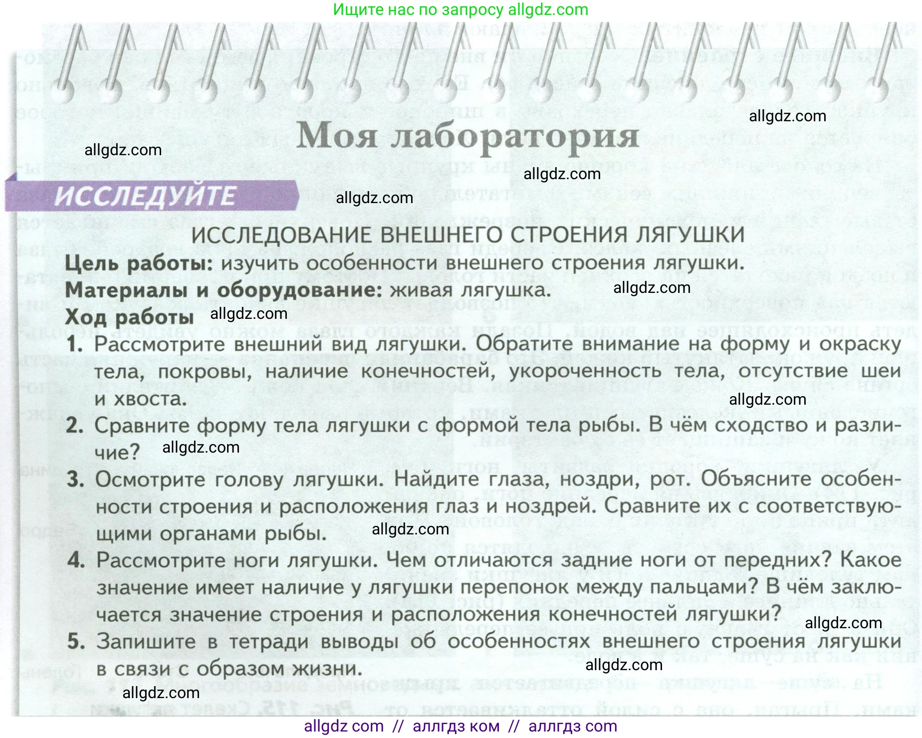 Биология, 8 класс Учебник, авторы: Пасечник Владимир Васильевич, Суматохин Сергей Витальевич, Гапонюк Зоя Георгиевна, издательство Просвещение, Москва, 2023, белого цвета, страница 162, Условие