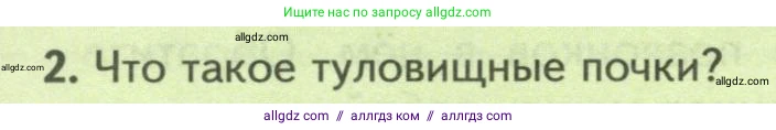 Биология, 8 класс Учебник, авторы: Пасечник Владимир Васильевич, Суматохин Сергей Витальевич, Гапонюк Зоя Георгиевна, издательство Просвещение, Москва, 2023, белого цвета, страница 164, номер 2, Условие