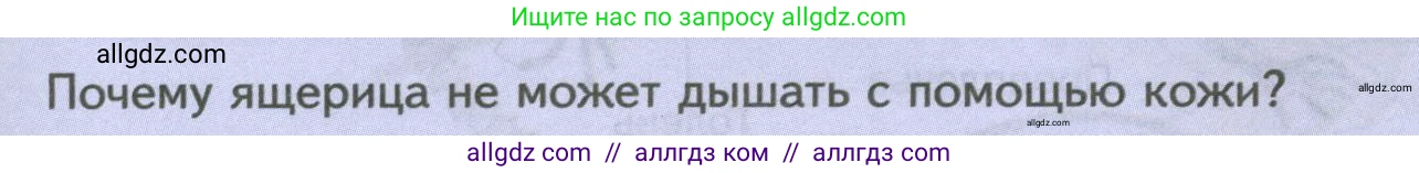 Биология, 8 класс Учебник, авторы: Пасечник Владимир Васильевич, Суматохин Сергей Витальевич, Гапонюк Зоя Георгиевна, издательство Просвещение, Москва, 2023, белого цвета, страница 169, Условие