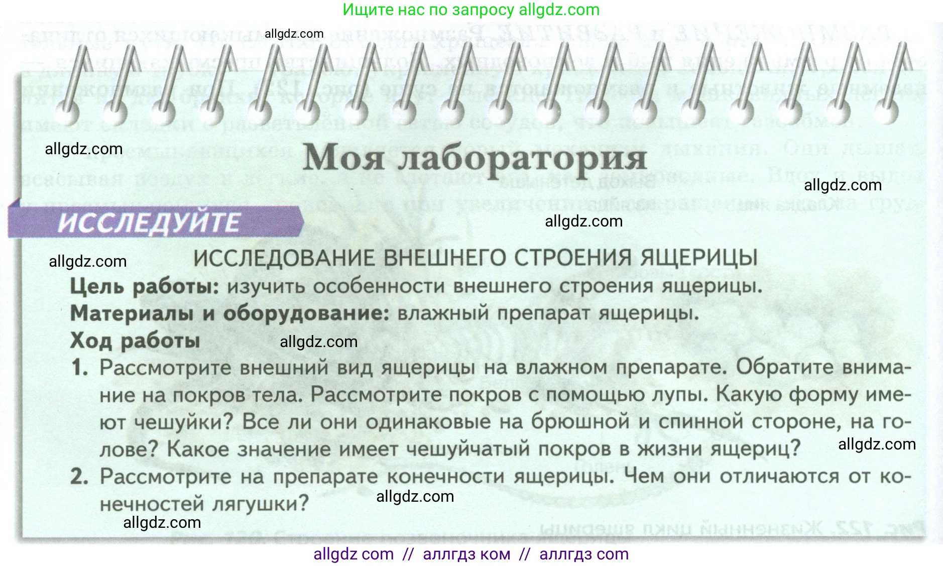 Биология, 8 класс Учебник, авторы: Пасечник Владимир Васильевич, Суматохин Сергей Витальевич, Гапонюк Зоя Георгиевна, издательство Просвещение, Москва, 2023, белого цвета, страница 172, Условие