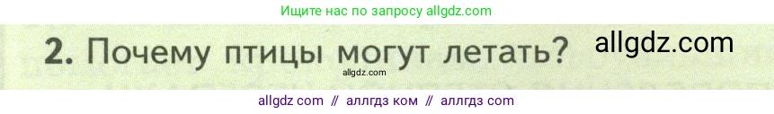 Биология, 8 класс Учебник, авторы: Пасечник Владимир Васильевич, Суматохин Сергей Витальевич, Гапонюк Зоя Георгиевна, издательство Просвещение, Москва, 2023, белого цвета, страница 178, номер 2, Условие