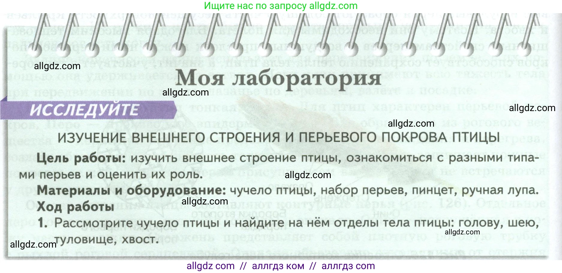 Биология, 8 класс Учебник, авторы: Пасечник Владимир Васильевич, Суматохин Сергей Витальевич, Гапонюк Зоя Георгиевна, издательство Просвещение, Москва, 2023, белого цвета, страница 180, Условие