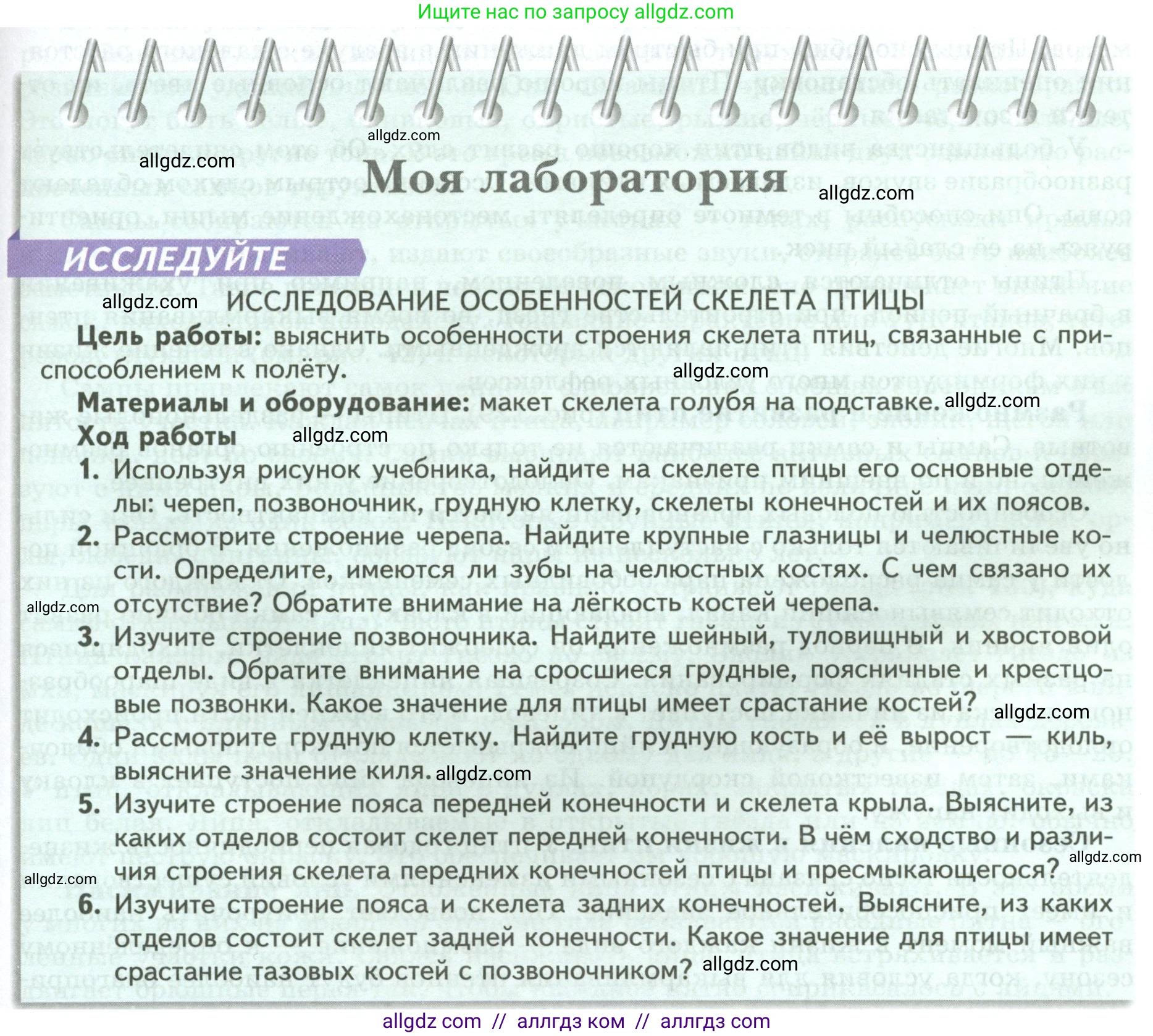 Биология, 8 класс Учебник, авторы: Пасечник Владимир Васильевич, Суматохин Сергей Витальевич, Гапонюк Зоя Георгиевна, издательство Просвещение, Москва, 2023, белого цвета, страница 185, Условие