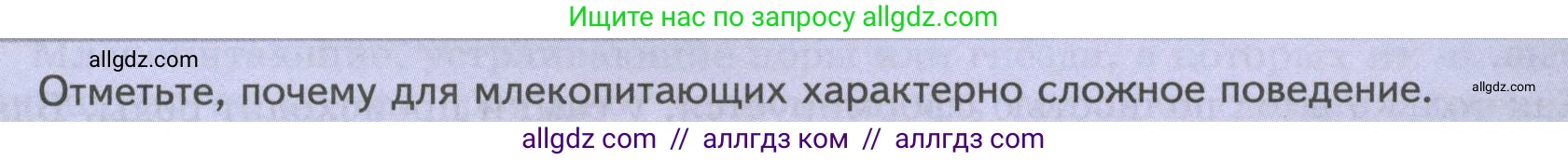 Биология, 8 класс Учебник, авторы: Пасечник Владимир Васильевич, Суматохин Сергей Витальевич, Гапонюк Зоя Георгиевна, издательство Просвещение, Москва, 2023, белого цвета, страница 205, Условие