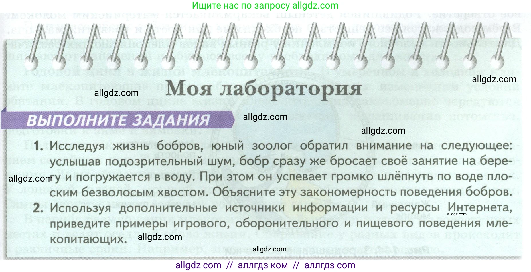 Биология, 8 класс Учебник, авторы: Пасечник Владимир Васильевич, Суматохин Сергей Витальевич, Гапонюк Зоя Георгиевна, издательство Просвещение, Москва, 2023, белого цвета, страница 205, Условие