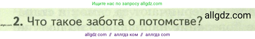 Биология, 8 класс Учебник, авторы: Пасечник Владимир Васильевич, Суматохин Сергей Витальевич, Гапонюк Зоя Георгиевна, издательство Просвещение, Москва, 2023, белого цвета, страница 206, номер 2, Условие