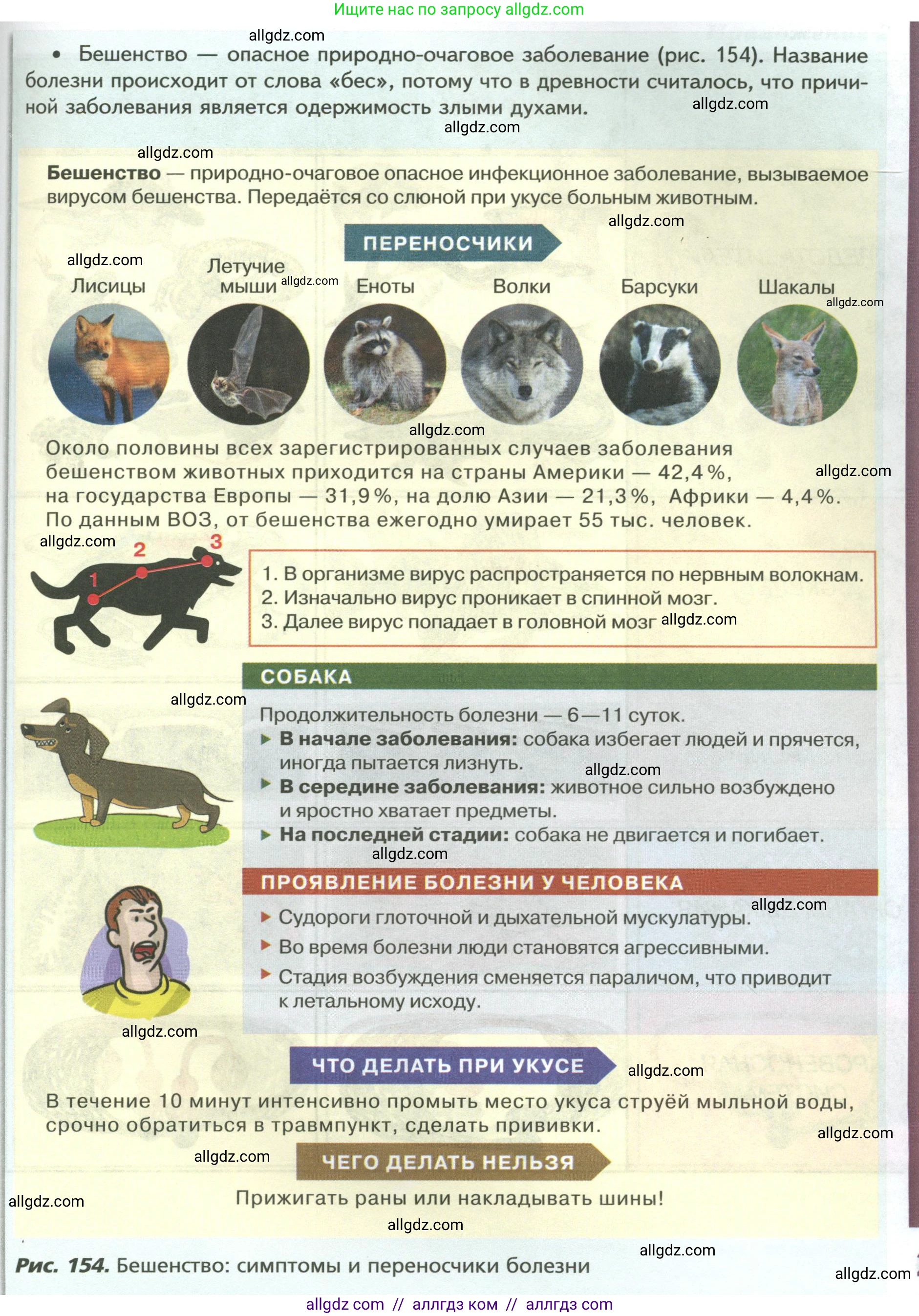 Биология, 8 класс Учебник, авторы: Пасечник Владимир Васильевич, Суматохин Сергей Витальевич, Гапонюк Зоя Георгиевна, издательство Просвещение, Москва, 2023, белого цвета, страница 218, Условие (продолжение 2)