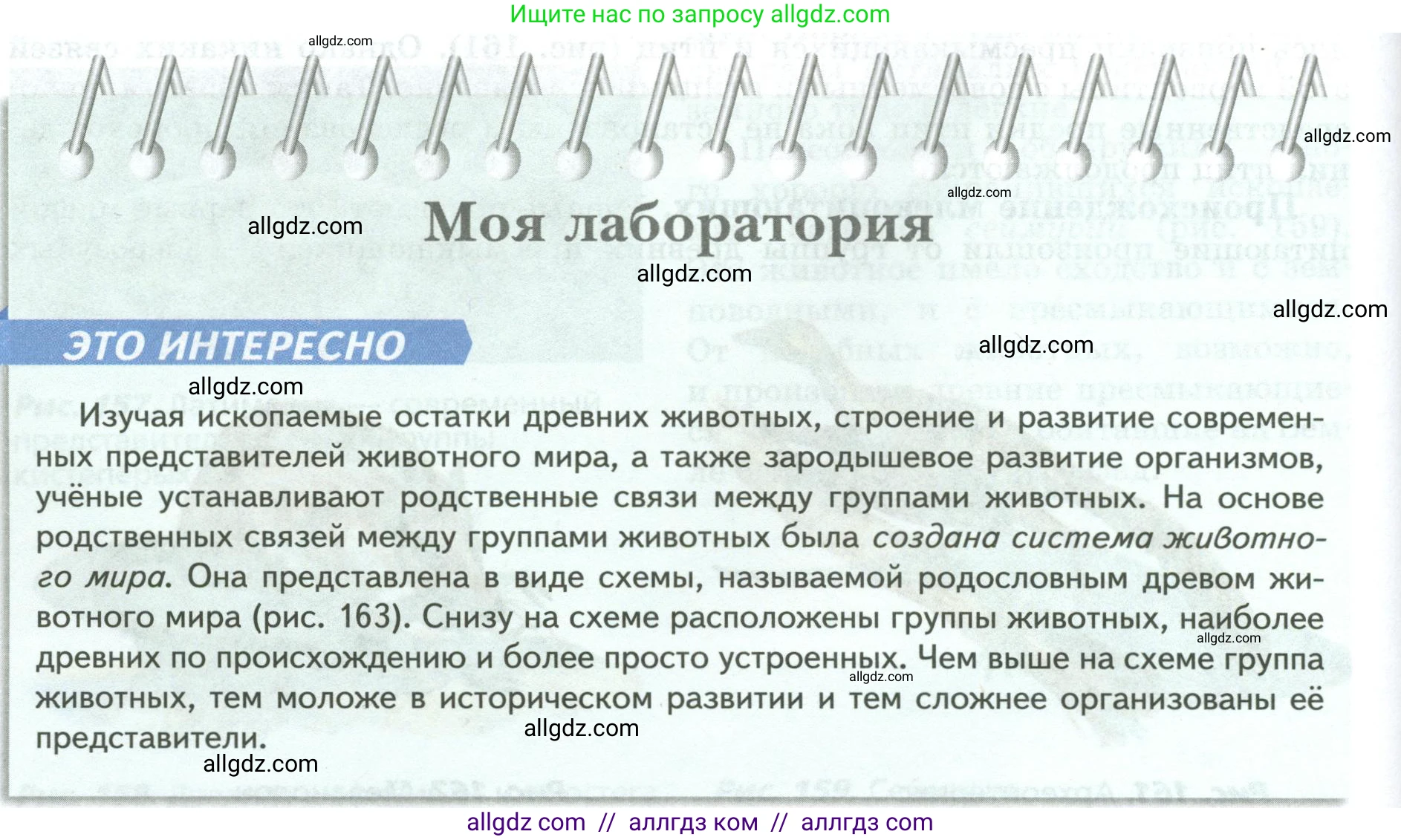 Биология, 8 класс Учебник, авторы: Пасечник Владимир Васильевич, Суматохин Сергей Витальевич, Гапонюк Зоя Георгиевна, издательство Просвещение, Москва, 2023, белого цвета, страница 230, Условие