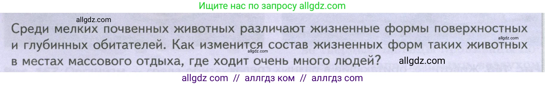 Биология, 8 класс Учебник, авторы: Пасечник Владимир Васильевич, Суматохин Сергей Витальевич, Гапонюк Зоя Георгиевна, издательство Просвещение, Москва, 2023, белого цвета, страница 238, Условие