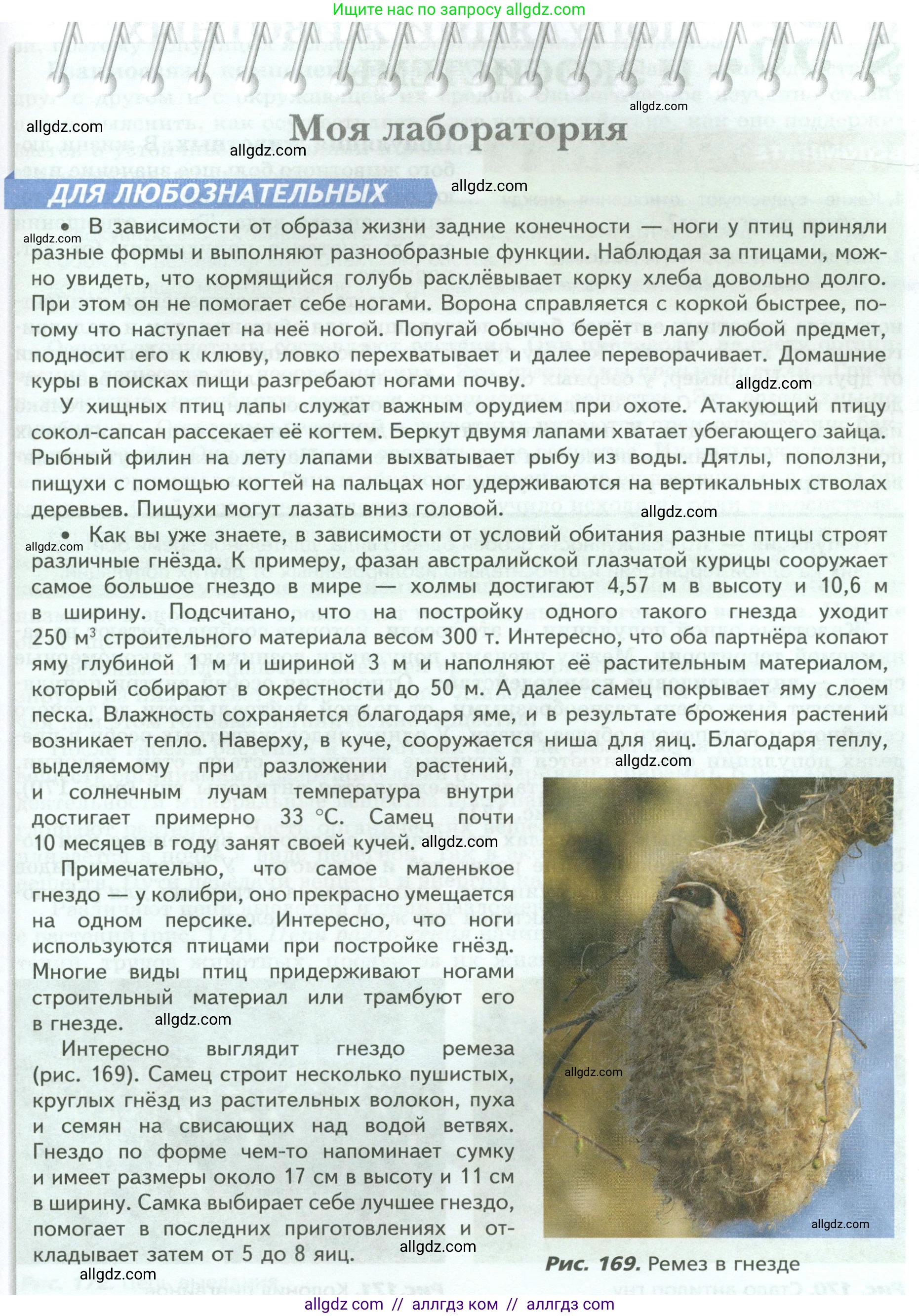 Биология, 8 класс Учебник, авторы: Пасечник Владимир Васильевич, Суматохин Сергей Витальевич, Гапонюк Зоя Георгиевна, издательство Просвещение, Москва, 2023, белого цвета, страница 239, Условие