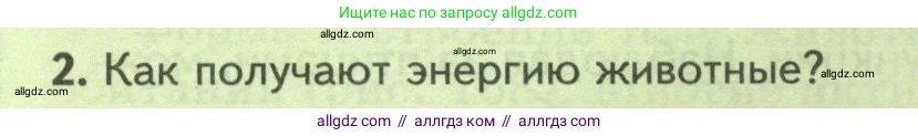 Биология, 8 класс Учебник, авторы: Пасечник Владимир Васильевич, Суматохин Сергей Витальевич, Гапонюк Зоя Георгиевна, издательство Просвещение, Москва, 2023, белого цвета, страница 240, номер 2, Условие