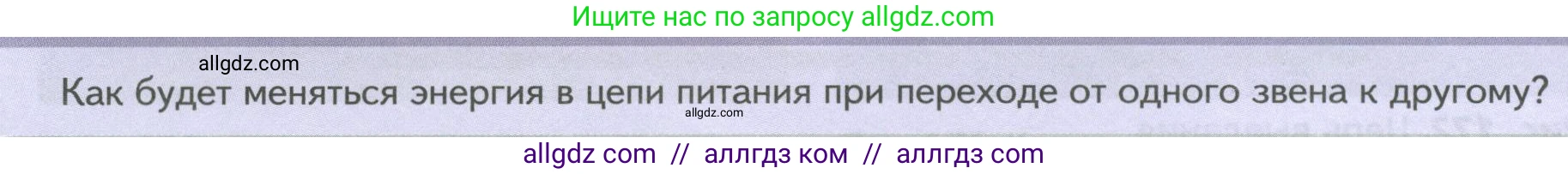 Биология, 8 класс Учебник, авторы: Пасечник Владимир Васильевич, Суматохин Сергей Витальевич, Гапонюк Зоя Георгиевна, издательство Просвещение, Москва, 2023, белого цвета, страница 242, Условие